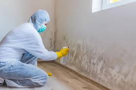 Best Real Estate Mold Inspection  in Shadybrook, TX